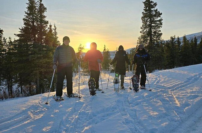 Ice Fishing and Aurora Extravaganza - Post-Fishing Fun: Snowshoeing and a Campfire