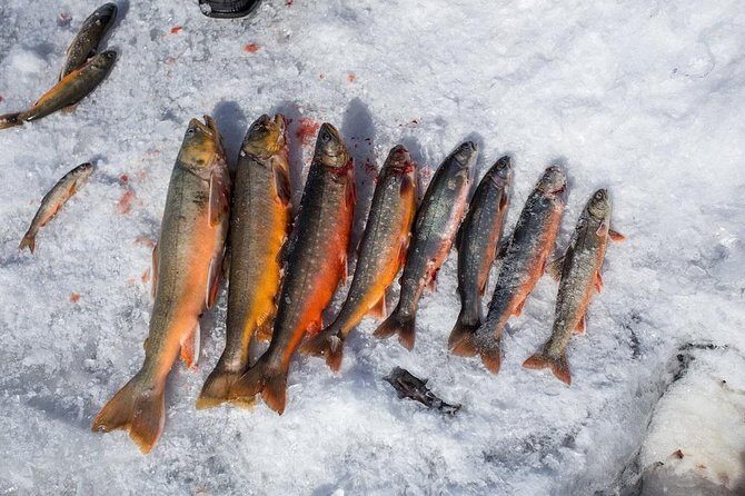 Ice Fishing and Husky - The Sum Up: Is This Tour Worth Your Time?