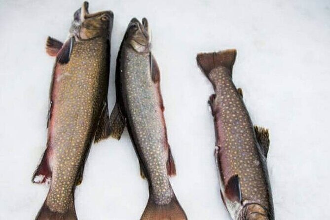 Ice fishing - Key Points