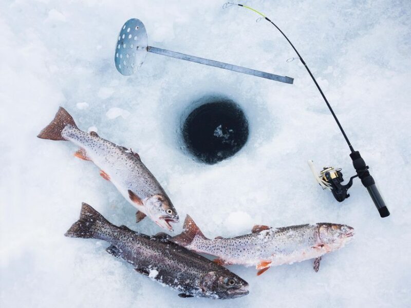 ICE FISHING experience - FAQ