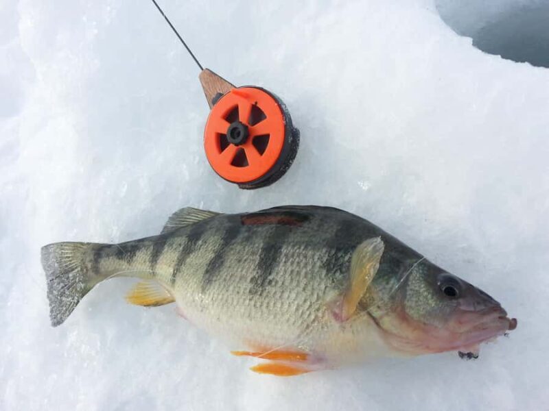 Ice Fishing near Mont-Tremblant - Final Thoughts: Who Should Consider This?