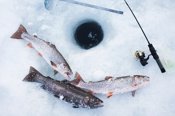 Ice Fishing Tour from Fairbanks - Experience the Cold: Ice Fishing Tour from Fairbanks