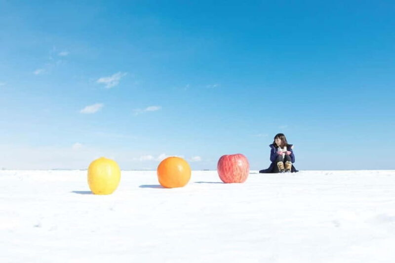 Ice Horizon Walk: Frozen Sea Adventure of Notsuke Peninsula - A Detailed Look at the Ice Horizon Walk