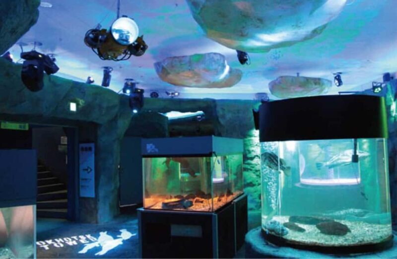 Icebreaker GARINKO GO III Cruise Explore Ice and Snow Tour - Summary: Is It Worth It?