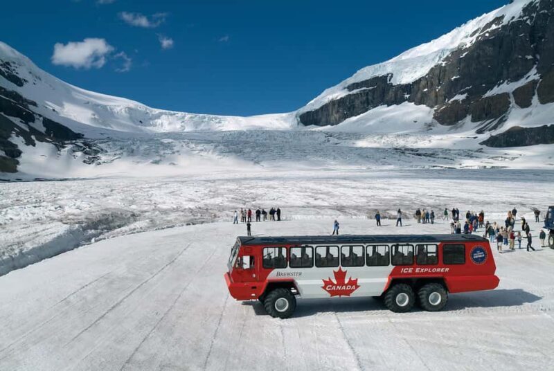 Icefield: Bow Lake, Columbia Icefield, Peyto Lake Day Tour - A Detailed Look at the Tour Experience