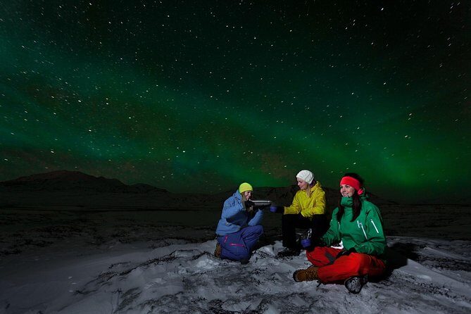 Iceland in a Day: South Coast, Glacier Hike, & Northern Lights - Key Points