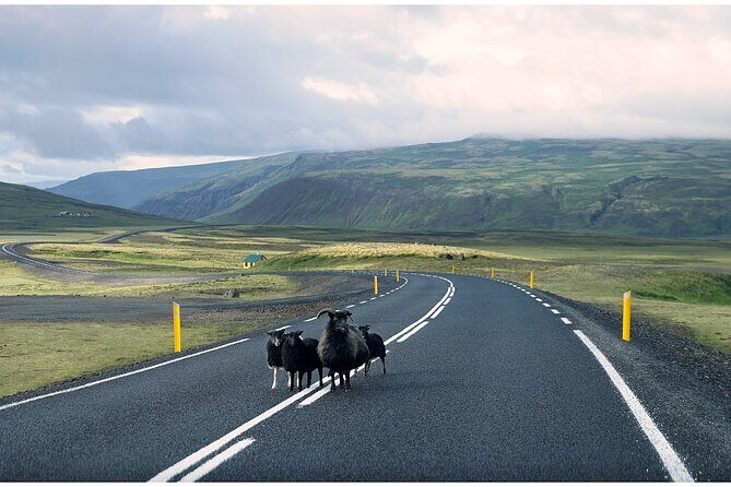 Iceland South Coast Tour with Pickup - Who Is This Tour Best For?