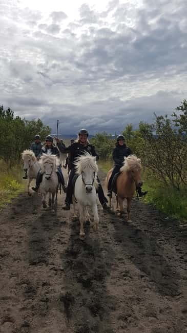 Iceland: Volcanic Landscape Horse Riding Tour - A Closer Look at the Experience