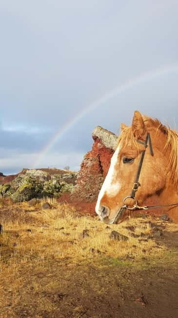 Iceland: Volcanic Landscape Horse Riding Tour - The Authenticity of the Experience