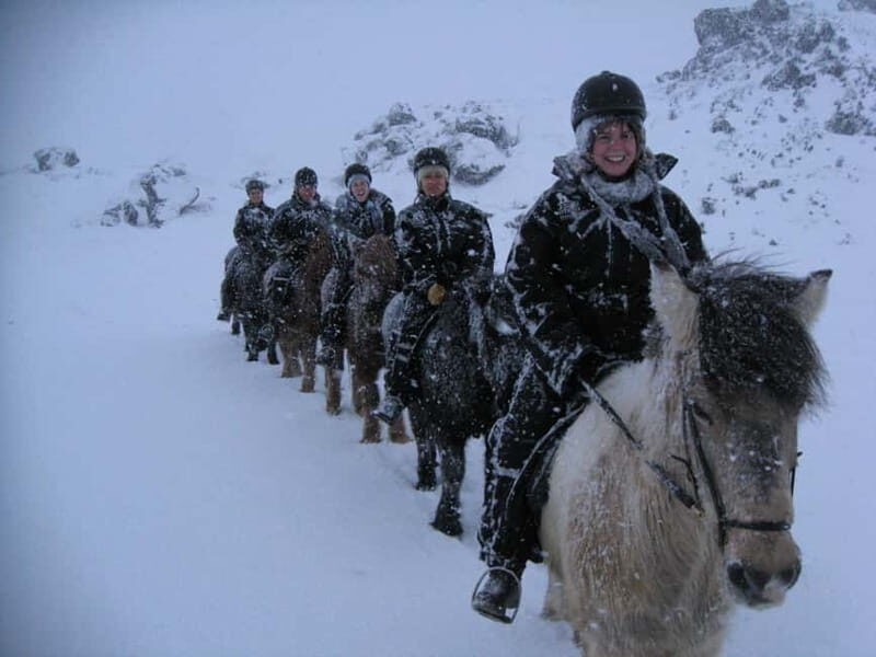 Iceland: Volcanic Landscape Horse Riding Tour - Analyzing the Value