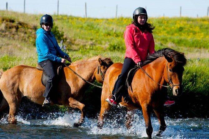 Icelandic Horse Riding and Whale Watching Cruise from Reykjavík - FAQ: Your Practical Questions Answered