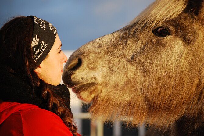 Icelandic Horse Riding and Whale Watching Tour from Reykjavik - Who Should Consider This Tour?