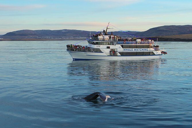 Icelandic Horse Riding and Whale Watching Tour from Reykjavik - Frequently Asked Questions