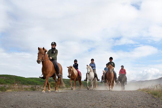 Icelandic Horseback Riding Tour from Reykjavik - Who Should Consider This Tour?