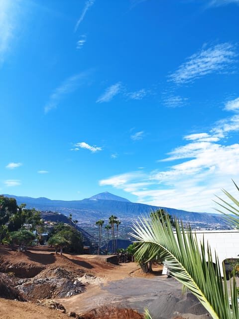 Icod de los Vinos: Walking route 1h30 - What Travelers Say