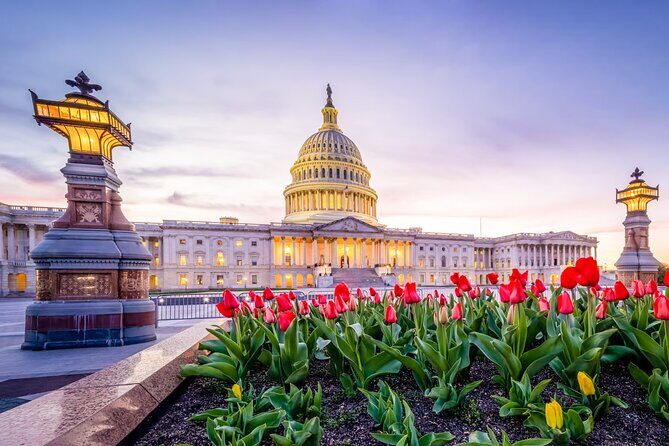Iconic Film and Movie Locations Half Day Tour in Washington D.C. - Discover the Cinematic Side of Washington D.C. with the Iconic Film and Movie Locations Half Day Tour