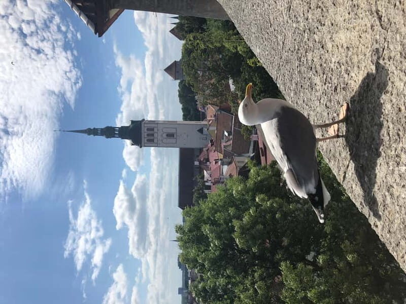 Iconic Old town Tallinn - Analyzing the Value