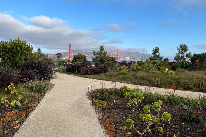 Iconic San Francisco Urban Hiking Tour - Discover the Best of San Francisco on a Walking Tour