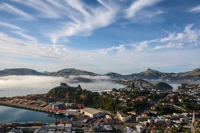 Iconic Shore Excursion: Dunedin City Highlights Tour - Exploring Dunedin: A Deep Dive into the Highlights
