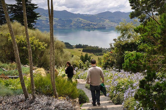 Iconic Shore Excursion: Iconic Larnach Castle Tour - The Itinerary Breakdown: What You’ll Experience