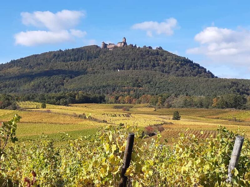 Iconics Typical villages & Haut Koenigsbourg castle - A Comprehensive Look at the Tour Experience