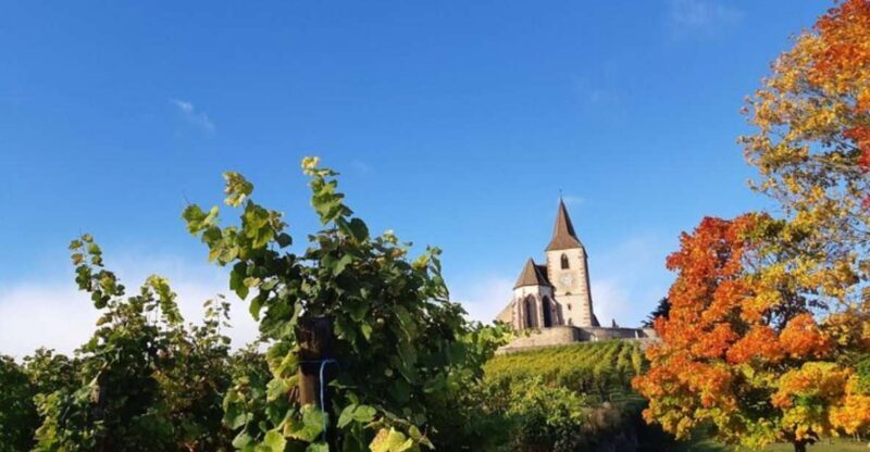 Iconics Typical villages & Haut Koenigsbourg castle - Who Will Appreciate This Tour?