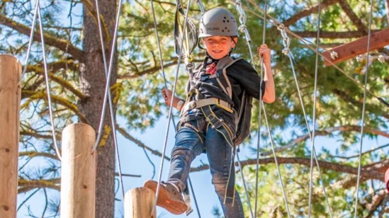 Idaho Springs: Ropes Challenge Course Ticket - The Experience in Detail: What to Expect from Start to Finish