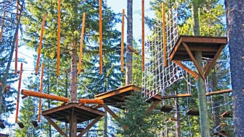 Idaho Springs: Ropes Challenge Course Ticket - Practical Tips for Your Visit