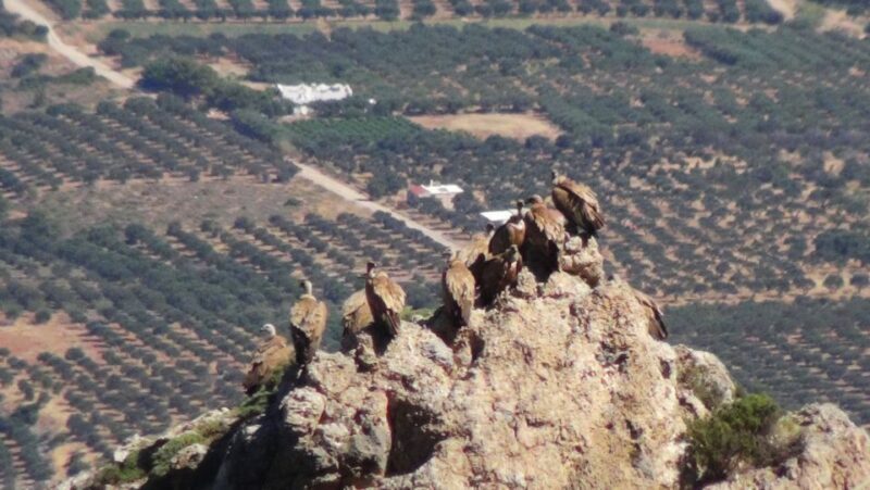 Ierapetra: Eastern Crete Nature Jeep Driving Tour - FAQ