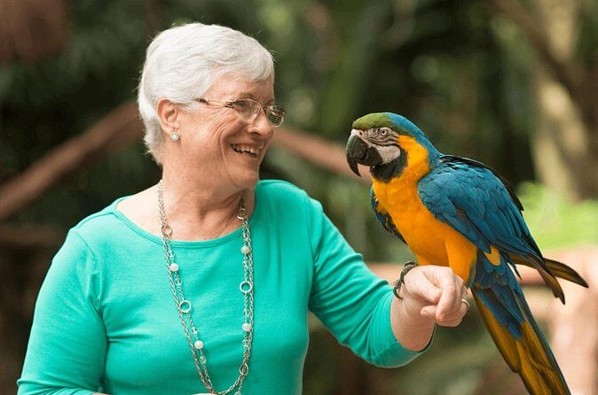 Iguaçu Bird and Waterfall Park - Final Thoughts