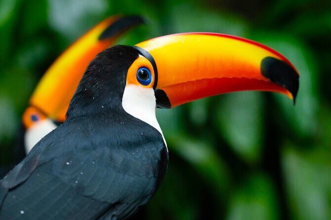 Iguaçu Bird and Waterfall Park - FAQ (Frequently Asked Questions)