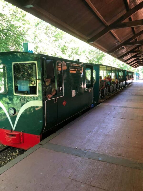 Iguassu Waterfalls: 1 Day Tour Brazil and Argentina's sides - Detailed Breakdown of the Itinerary