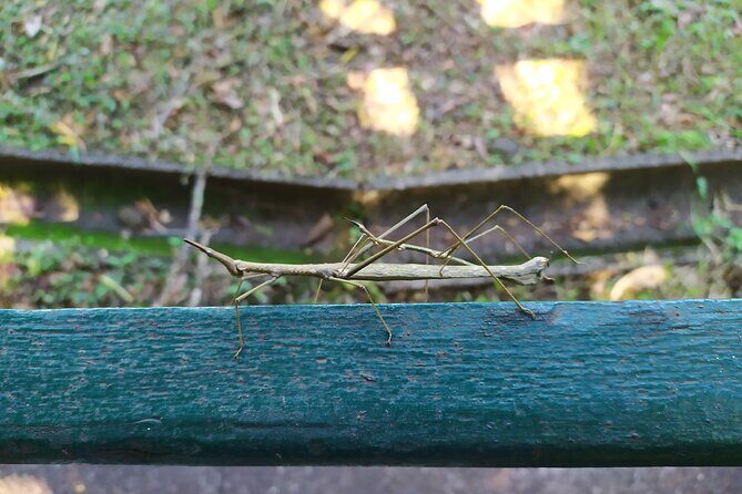 Iguazu Falls Adventure: Discover Two Countries in One Day - Exploring Iguazu Falls in Detail