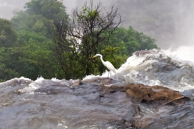 Iguazu Falls Adventure: Discover Two Countries in One Day - FAQs