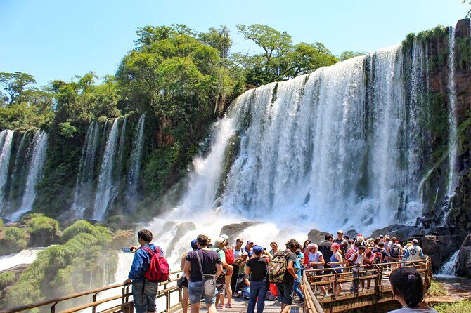 Iguazu Falls: Argentinian Side with Rainforest Ecological Train - The Experience of Iguazu Falls — Why it Matters