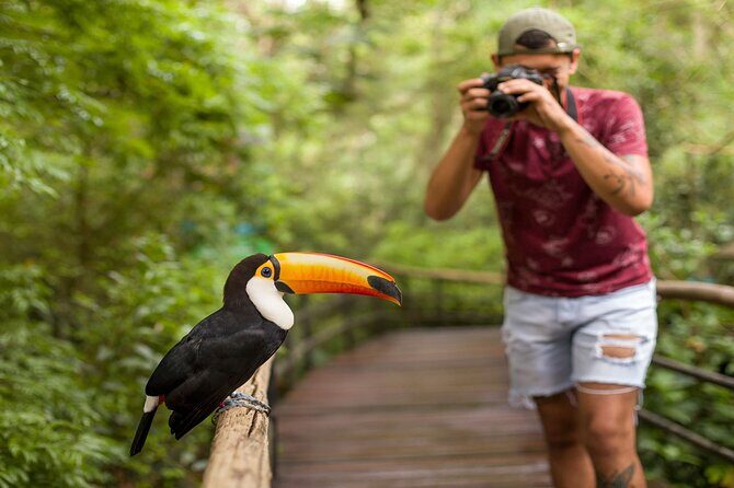 Iguazu Falls Brazilian Side & Bird Park from Puerto Iguazu - Who Should Consider This Tour?
