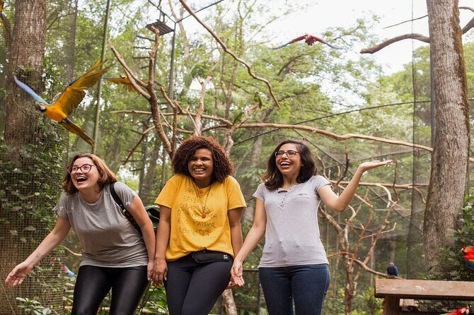 Iguazu Falls Brazilian Side & Bird Park from Puerto Iguazu - Final Thoughts