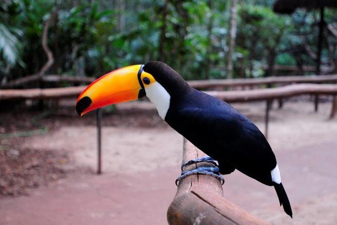 Iguazu Falls Brazilian Side & Bird Park from Puerto Iguazu - FAQ