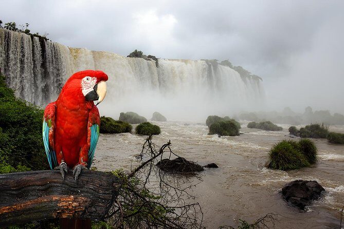 Iguazu Falls Brazilian side - Exploring the Tour in Detail