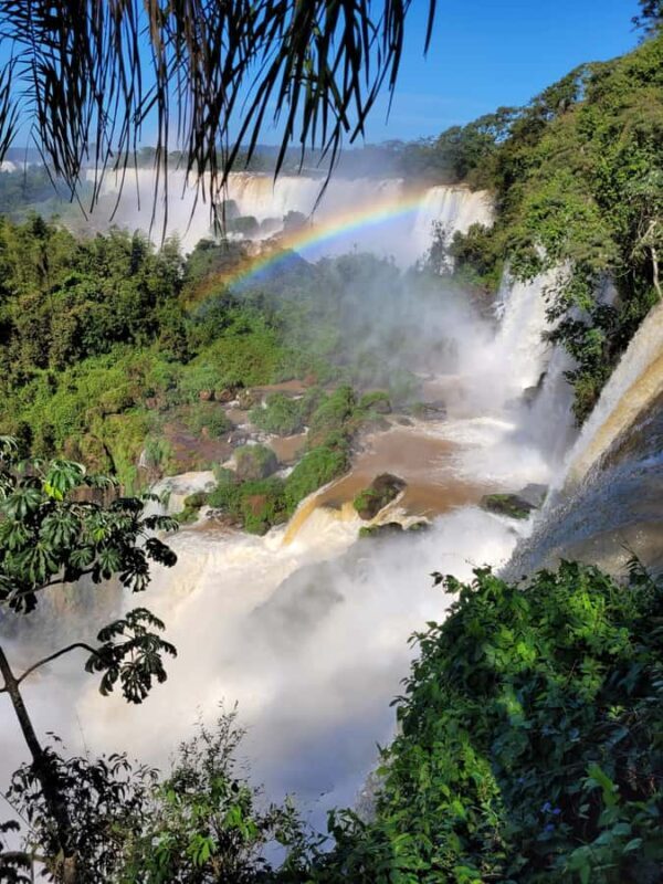 Iguazu Falls: Guided Tour in Argentinean Side - Final Thoughts