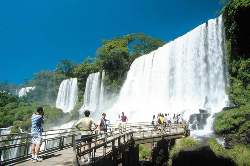 Iguazu Falls Tour on Brazil Side - The Subtropical Forest: A Quiet Interlude