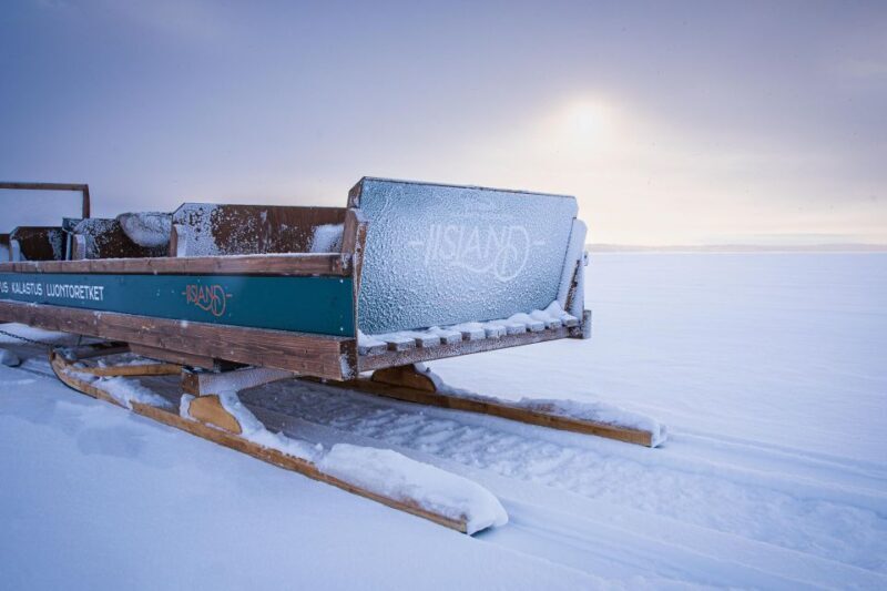 Ii: Snowmobile sleigh trip on frozen sea under starlit sky - In-Depth Review of the Snowmobile and Sleigh Experience