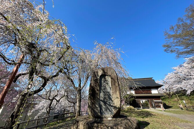 Iiyama Castle Cherry Blossom and Nozawa Onsen Morning Tour - A Detailed Look at the Experience