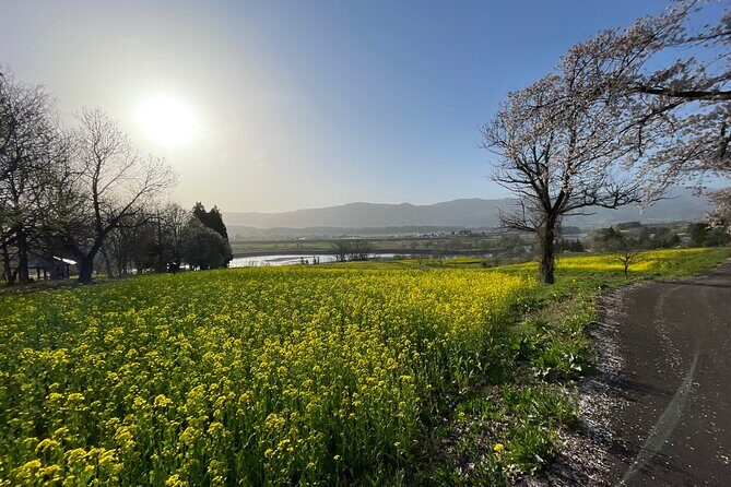 Iiyama Castle Cherry Blossom and Nozawa Onsen Morning Tour - FAQ