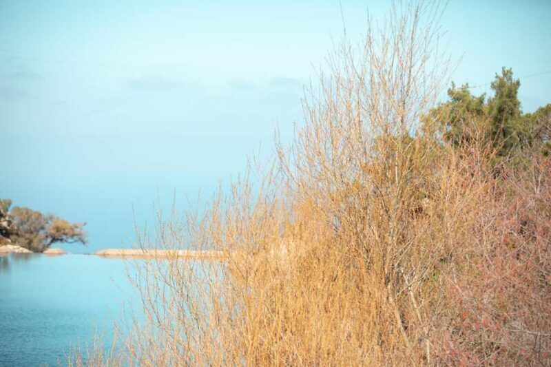 Ikaria Longevity: Forest Pilates, Monastery & Family Winery - Final Thoughts: Who Should Book This Experience?