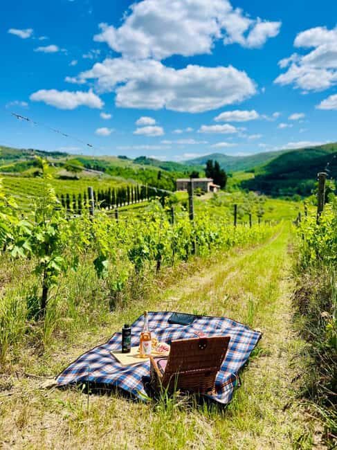 Il Molino di Grace: Vineyard Tour, Wine Tasting, and Picnic - Key Points