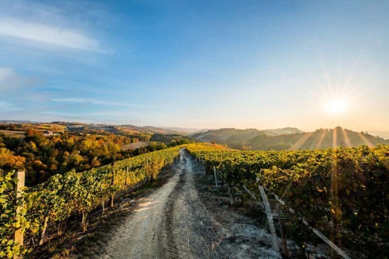 Il Monsù: A Journey through Nebbiolo, Barbaresco, and Barolo - Starting Point: La Morras Scenic Setting