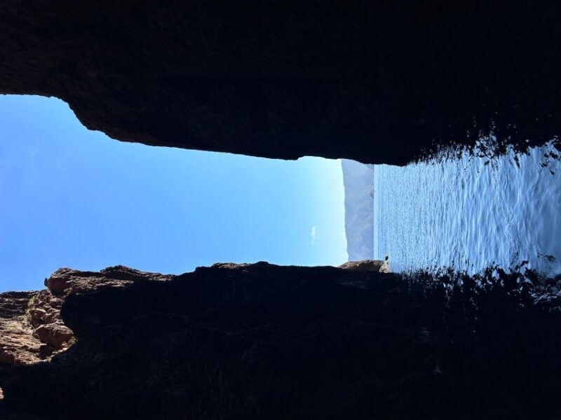 Ile Rousse : la réserve naturelle de Scandola - Key Points