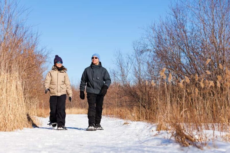 Îles-de-Boucherville: Park Entry w/ Fat-bike & Snowshoeing - Key Points
