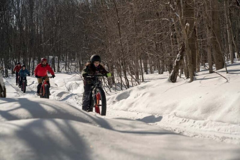 Îles-de-Boucherville: Park Entry with Fat-bike Rental - Key Points